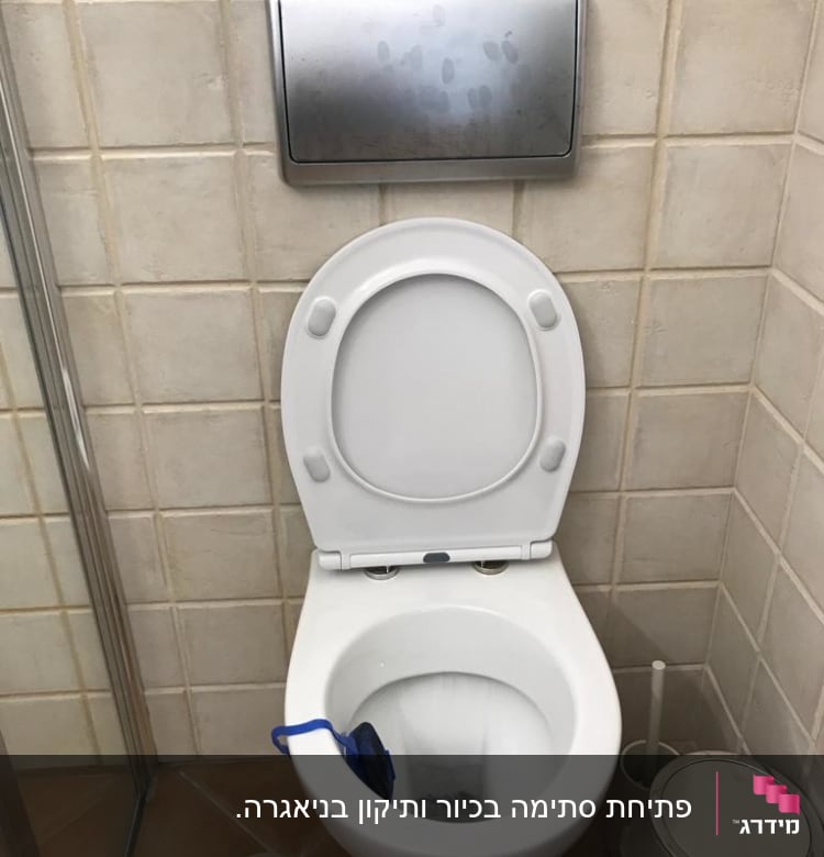 אסלה עם מברשת ניקוי וכיסוי מושב פתוח